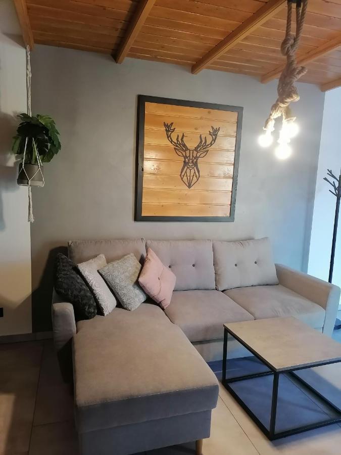 Apartament Jelen Διαμέρισμα Złotów Εξωτερικό φωτογραφία