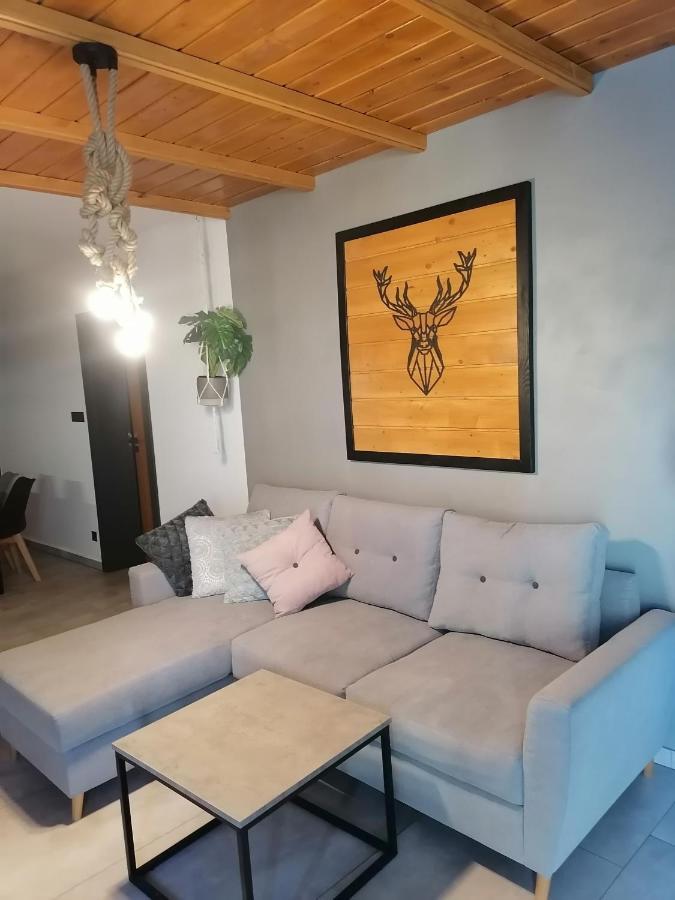 Apartament Jelen Διαμέρισμα Złotów Εξωτερικό φωτογραφία